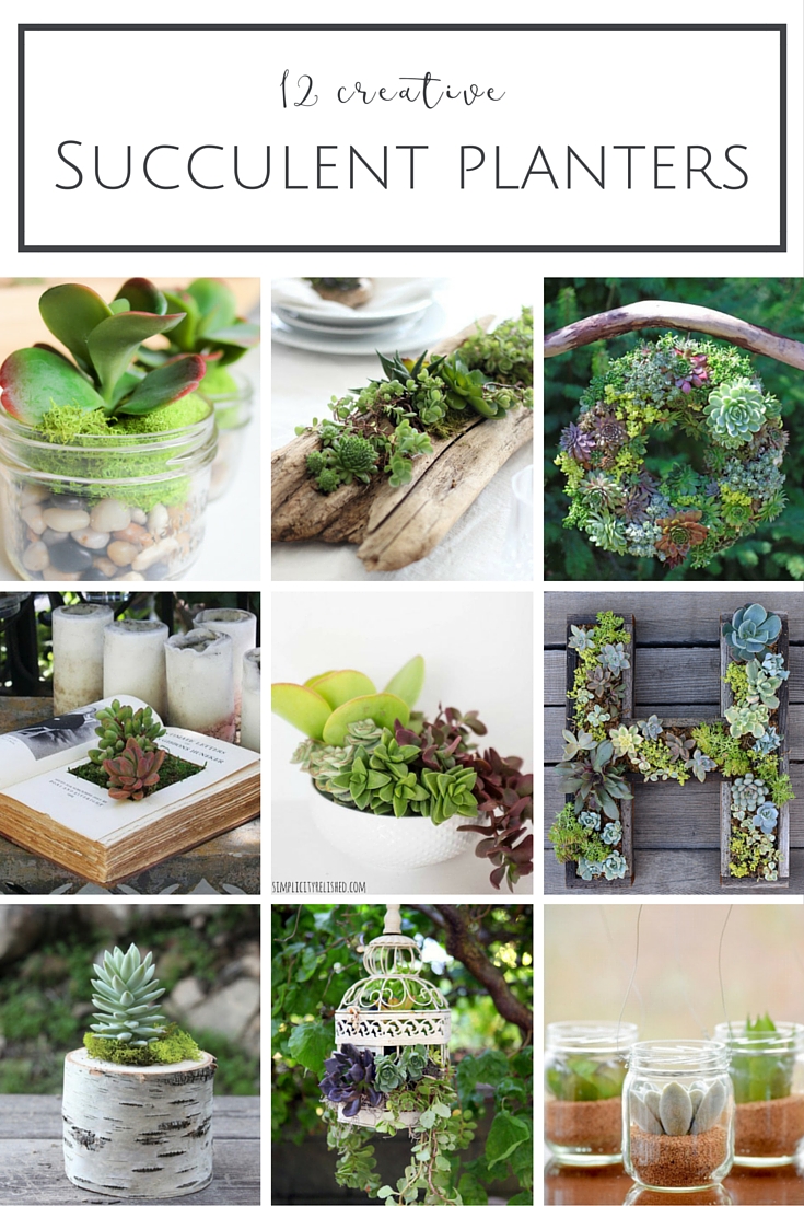 12 Creative Diy Succulent Planter Ideas Making It In The Mountains